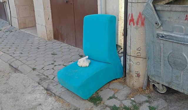 Eskişehir'de atık sorunu her geçen gün büyüyor!