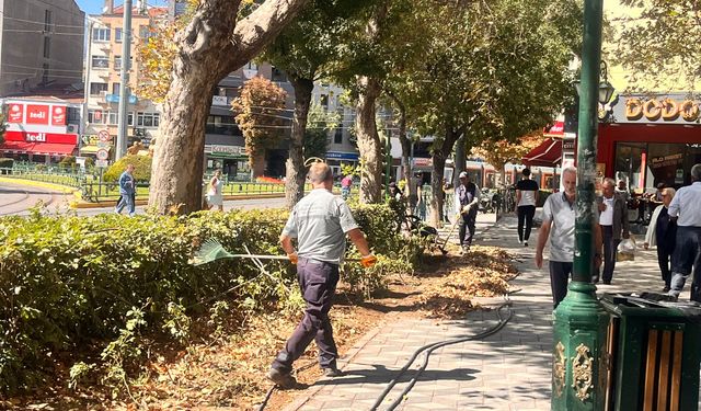 Büyükşehir Belediyesi’nden çevre düzenleme çalışması