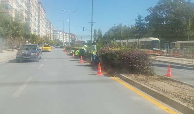 Eskişehir'de peyzaj çalışmaları sürüyor