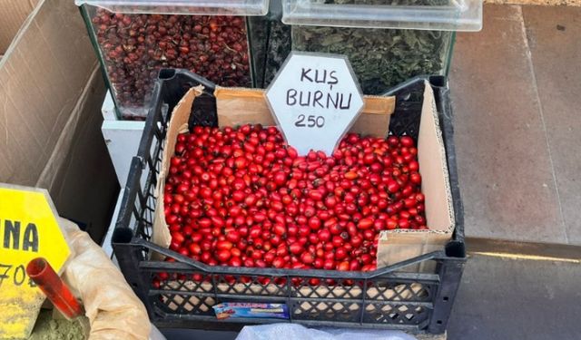 Eskişehir’de kuşburnu kışı karşılama hazırlıklarının vazgeçilmezi oldu!