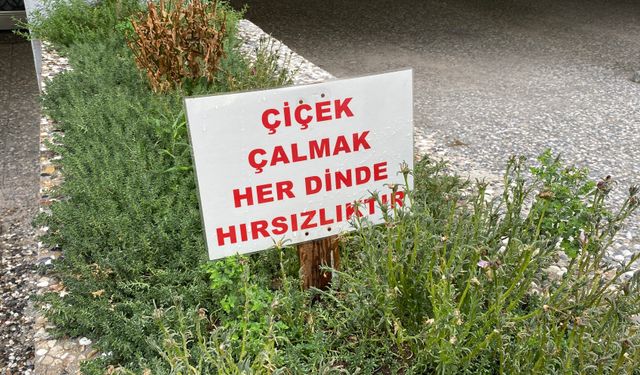 Eskişehir'de hırsızlar apartman bahçesine dadandı, çaldıkları ise...