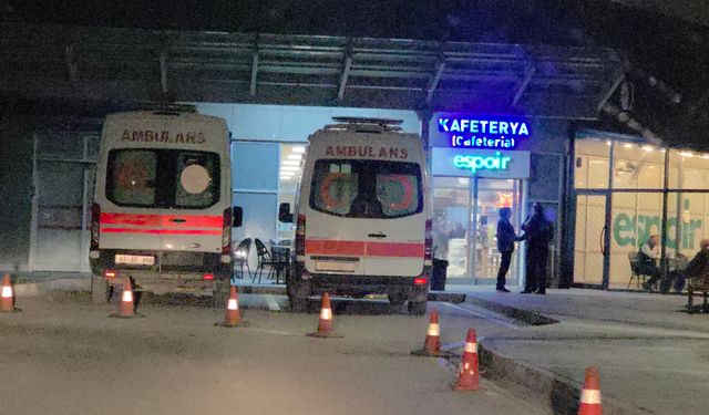 Eskişehir'e geziye geldiler, dönüşte hastanelik oldular!