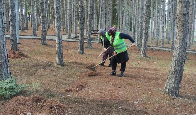 Gediz parklarına büyük bakım ve yenileme hamlesi