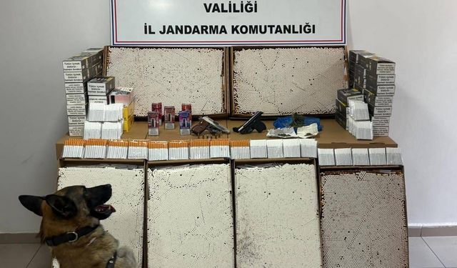 Afyon'da Jandarmadan zehir operasyonu!
