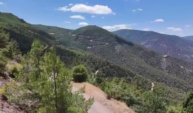 Eskişehir altın madeni projesinde son söz hukukta!
