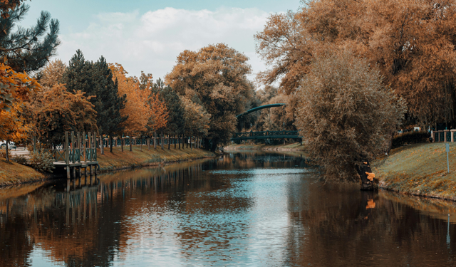 Eskişehir'de soğuk hava alarmı!