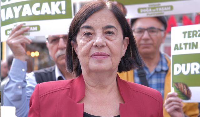 Eskişehirli vekilden maden projelerine tepki: İzin vermeyeceğiz!