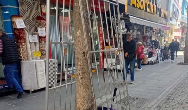 Eskişehir'de ağaç çevresine kepenk monte edildi