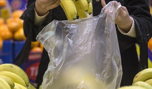 Plastik poşet ücretlendirmesiyle 2,6 milyon ton atık önlendi