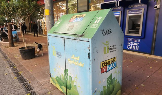 Eskişehir'de çöp kutuları beğeni topluyor