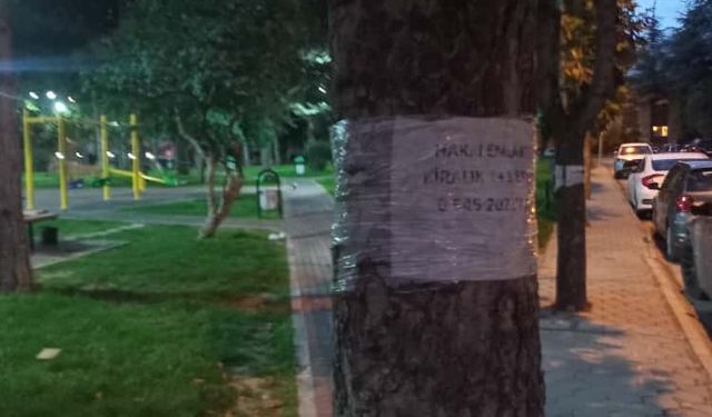 Eskişehir'de ağaçlar ilan panosuna döndü!