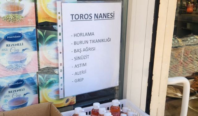 Eskişehir soğuklarına doğal kalkan: Hastalıklara son!