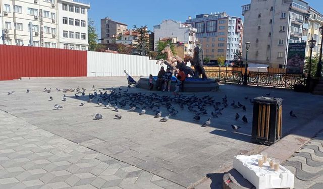 Eskişehir Köprübaşı Meydanı güvercinlerle canlanıyor