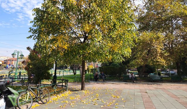 Eskişehir’de sonbahar sokaklara renk kattı