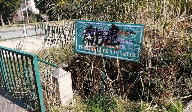 Eskişehir'de vandallar sınır tanımıyor