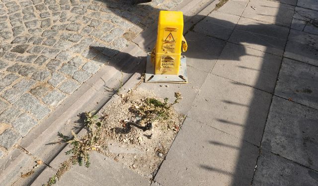 Eskişehir’de elektrik hatları tehlike saçıyor!