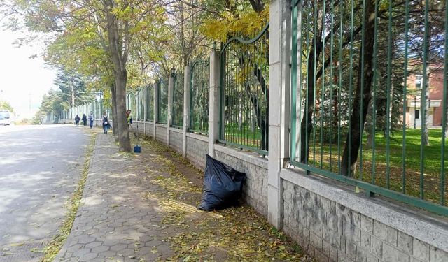 Eskişehir'de sonbahar temizliği hız kesmiyor!