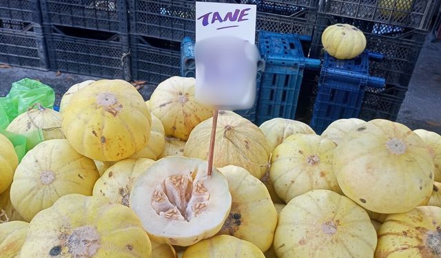 Eskişehir’de kavun fiyatları sezon sonu nedeniyle arttı