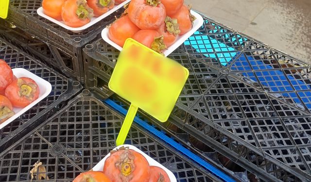 Eskişehir'de sonbaharın gözdesi cep yakıyor!