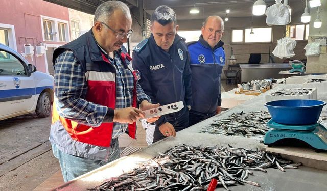 Kütahya'da balık tezgahlarına denetim!