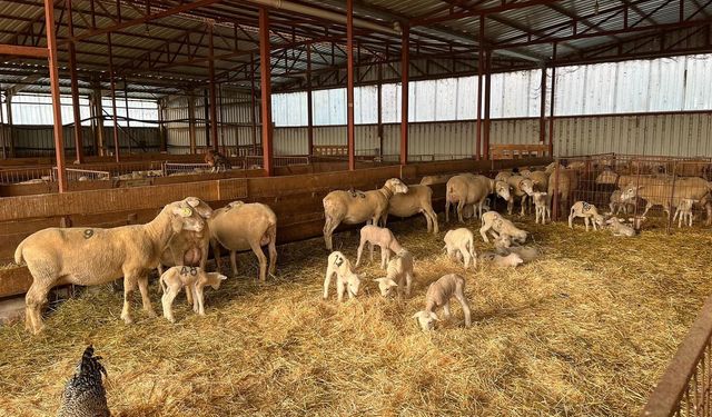 Bilecik’te kırsal kalkınmaya tam destek