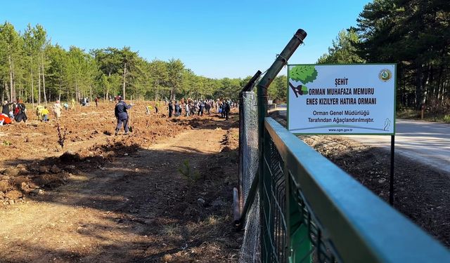 Eskişehir'deki orman yangınında şehit oldu, anısına fidan dikildi