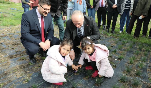 Eskişehirli kadın çiftçiler safranla tanışıyor