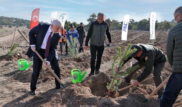 TEI, 40. yılını fidan bağışıyla taçlandırdı