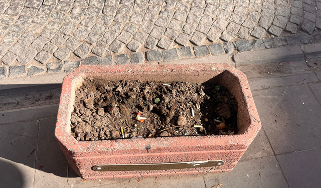 Eskişehir'de saksılar çöplüğe döndü!