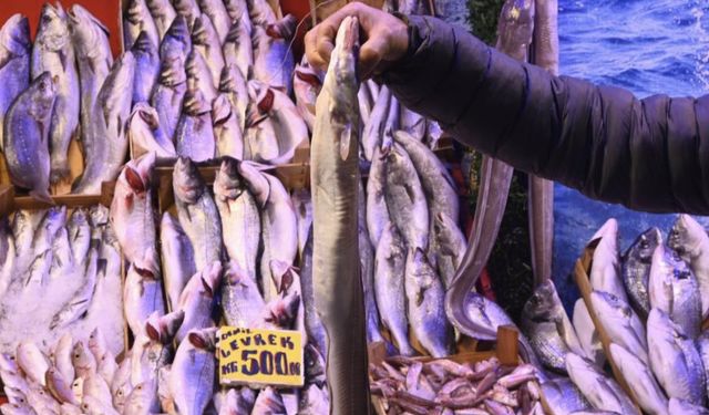 Eskişehir'e kilometrelerce öteden geldi, ilgi odağı oldu!