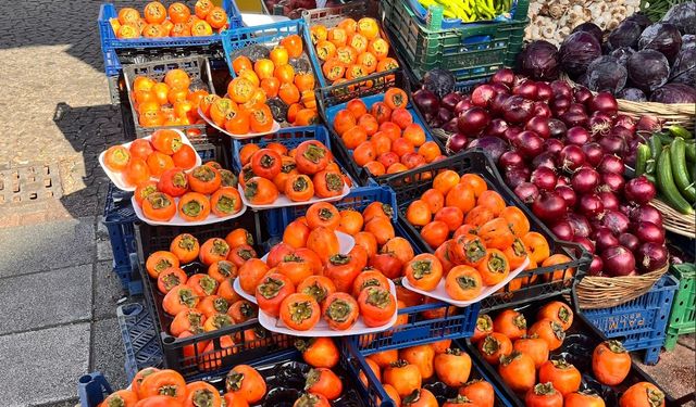 Eskişehir'de lezzet ve şifa deposuna yoğun ilgi!