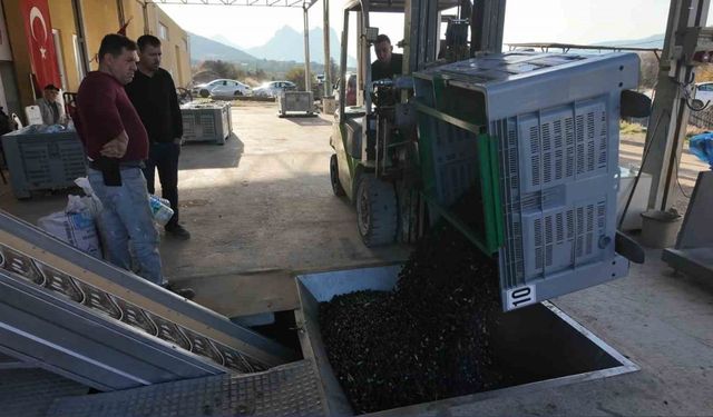 Eskişehir’in Akdeniz’inde sofralara damga vuran lezzet!