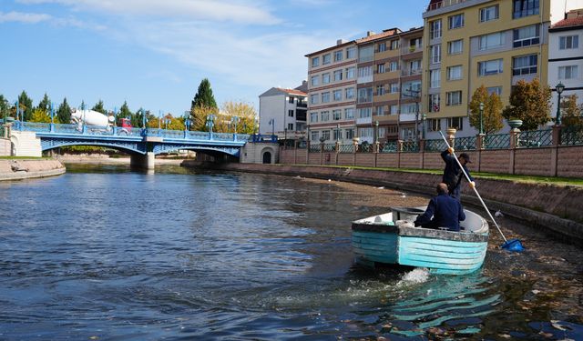 Porsuk Çayı'nda her gün kilolarca toplanıyor!