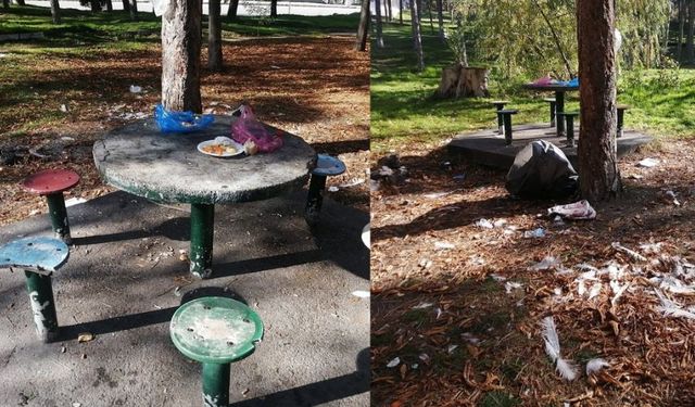 Eskişehir'e yapılan kötülüğün fotoğrafı!