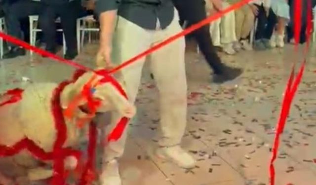 Afyon'daki düğünde damada sürpriz hediye!