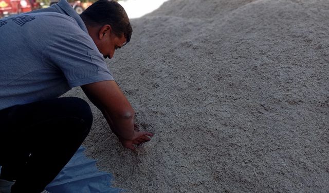 Eskişehir'de küçükbaş üreticilerine yem ve balya desteği