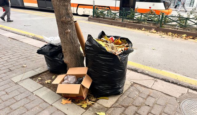 Eskişehir’de çevre kirliliği vatandaşları isyan ettirdi!