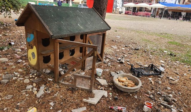 Eskişehir’de sokak hayvanları için yapılan kulübeler kaderine terk edildi