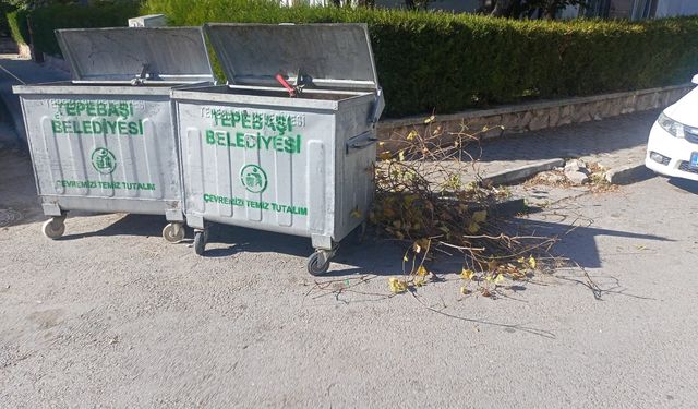 Eskişehir’de görüntü kirliliği: Ağaç dalları günlerdir toplanmadı!