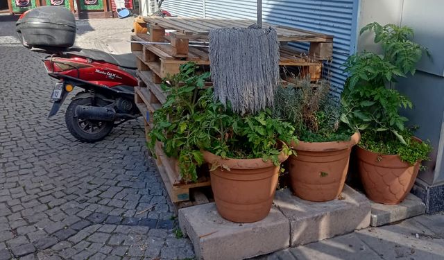 Eskişehir'de kaldırım işgalleri son bulmuyor!