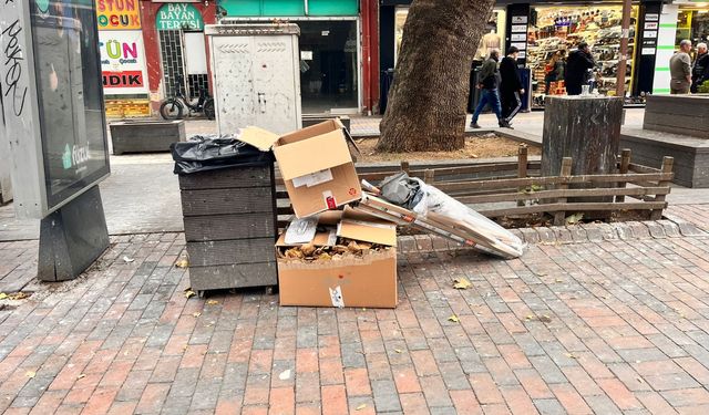 Eskişehir’de gelişi güzel atılan çöp sorununa çözüm bekleniyor