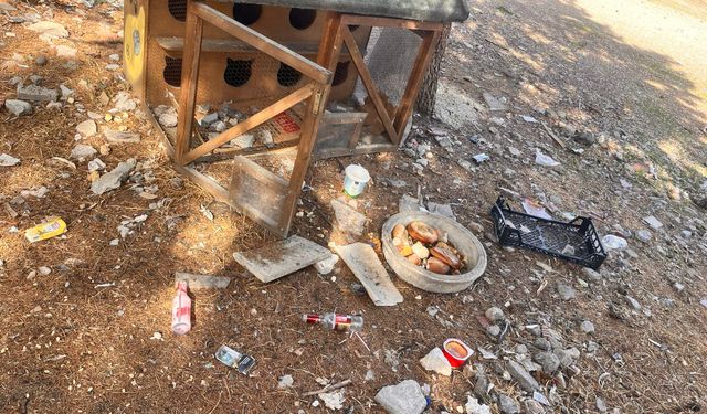Eskişehir'de sokak hayvanları için bırakıldı, çevre kirliliğine neden oldu