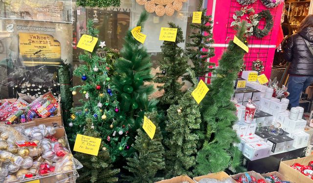 Eskişehir yılbaşı hazırlığında: Ağaç satışları başladı!