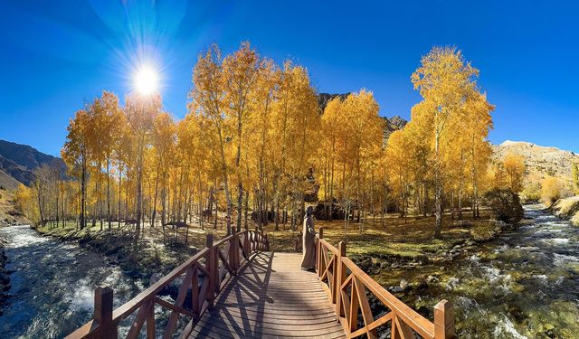 2025 yılı kayıtlara en sıcak ikinci yıl olarak girebilir