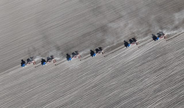Tohumculuk iklime dayanıklı üretime geçiyor