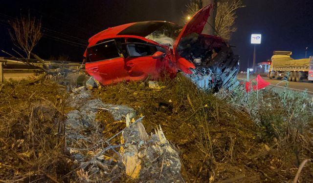 Eskişehir'de otomobil refüjdeki ağaçları biçti!