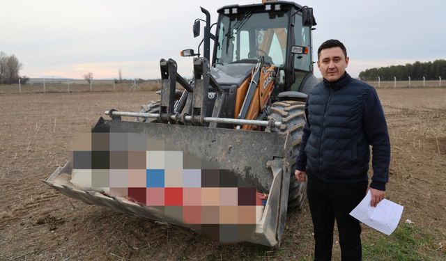 Eskişehir'de kaçak kesim ihbarı gerçek çıktı: Görüntüler mide bulandırdı!