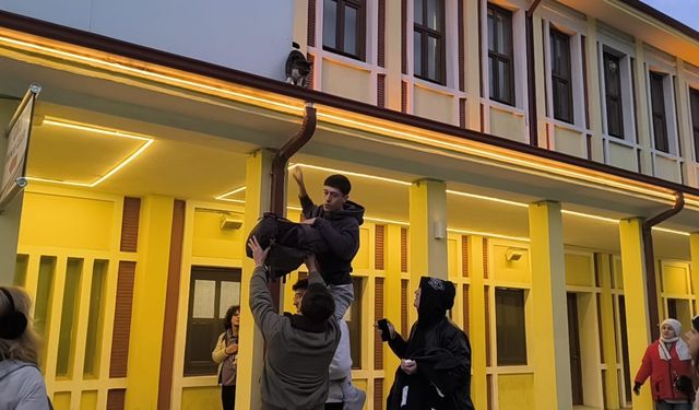 Eskişehir'de güldüren kedi kurtarma operasyonu