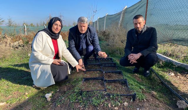 Nesli tükenme tehlikesinde Eskişehir üretiminde yeni adres olabilir