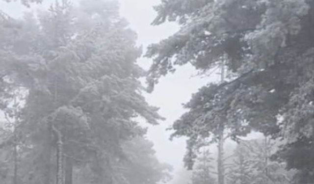 Eskişehir'de kar sevinci!